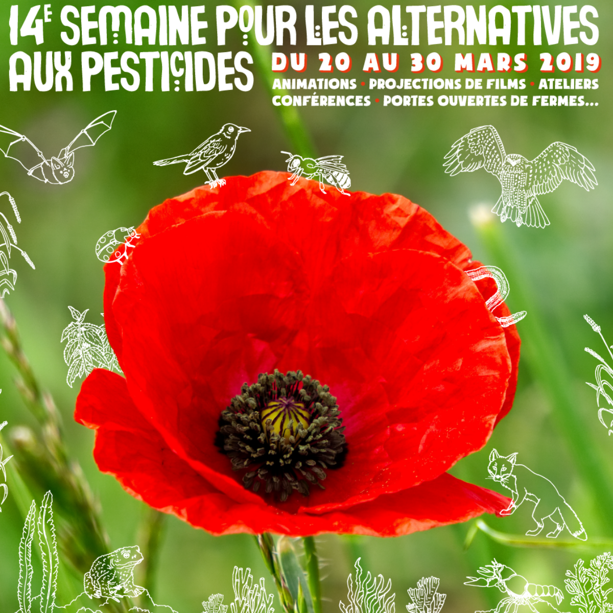 Semaine pour les alternatives aux pesticides : Biocoop lance un jus de pomme militant Semaine pour les alternatives aux pesticides : Biocoop lance un jus de pomme militant