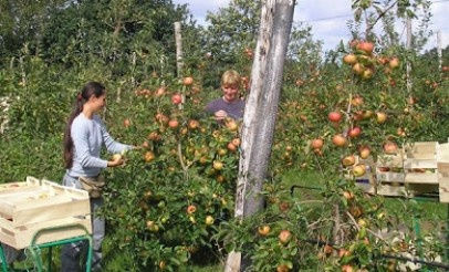 GAEC Les Fruits Des Bois (Jus)