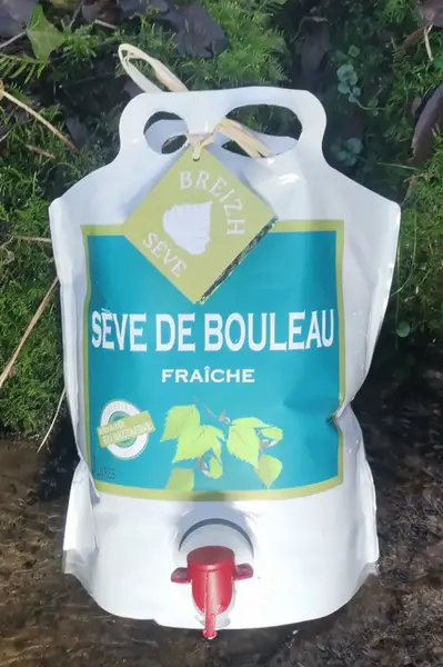 Sève de bouleau